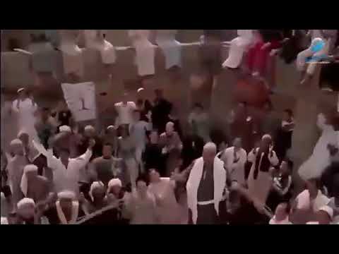 توت توت توت شد حيلك يا كتكوت محمد سعد