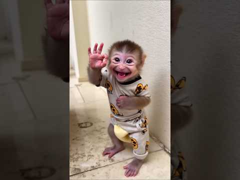 كم مره اوكي