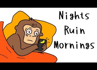 Monkey S Night Routine That Makes Every Morning Easy The Secret To Better Sleep