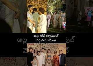 బ య ట ఫ ల వ డ డ గ మ మ ట Allushirish