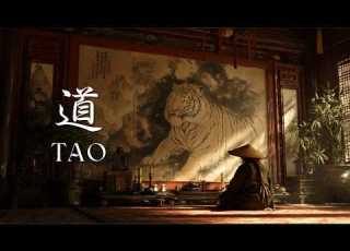 TAO 道 2 Hours Japanese Zen Ambient Music For Deep Focus Meditation Sleep