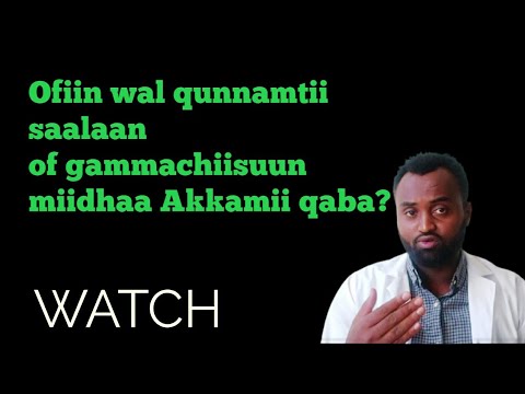 Miidhaa Fedhii Wal Qunnamtii Saalaa Ofiin Of Gammachiisuun Fidu Miidhaa Fedhii Wal Qunnamtii Saalaa Ofiin Of Gammachiisuun Fidu