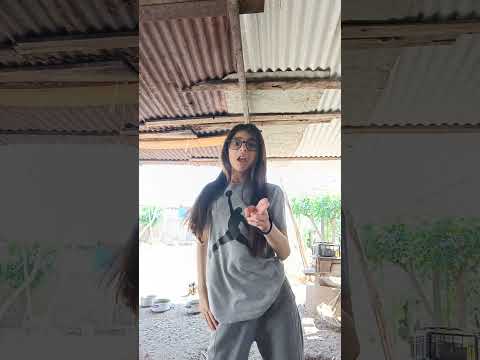 Https Www Snapchat Com Add E51432606 Share Id 8qecu44NR 8 Locale Es US