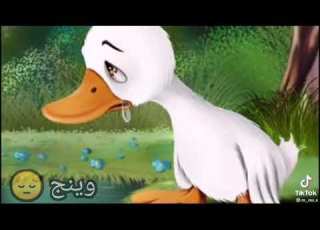  بطوط حزين