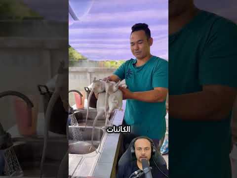 Eating Rats In China EatingRats ChineseOddities StrangeCustoms Explore Trend Stories T