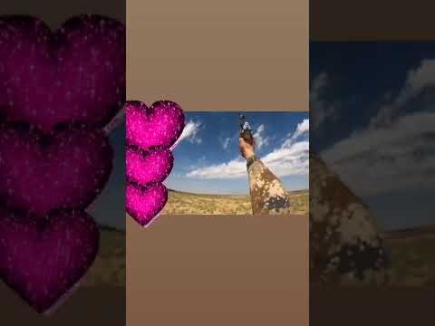 كلاشنكوف الالماني من اجمل الاسلحه