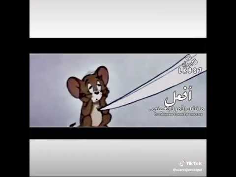 ليش توم موت جيري