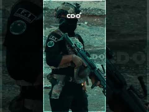 Pêşmergeyên Qehremanê Me