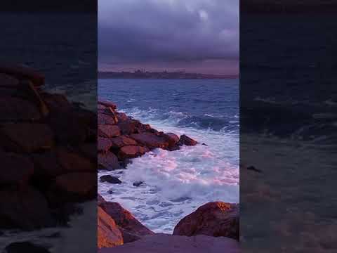 موسيقى مراد علمدار حزينه حزينة عبارات حزن هموم Like Yutubeshorts Freefire مراد علمدار Op