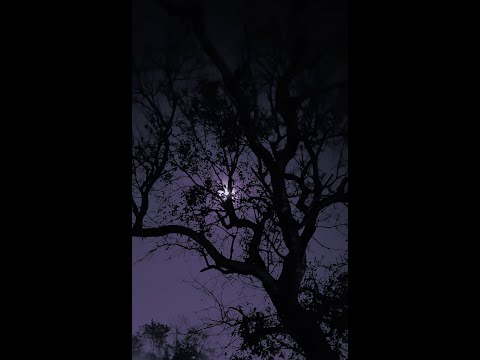 Fourth Of July Sufjan Stevens 1 Hour Loop