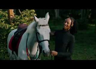 Embalasi Horse Nandor Love Hooked Official Video Extended Intro SNMIX Late 99 Bpm