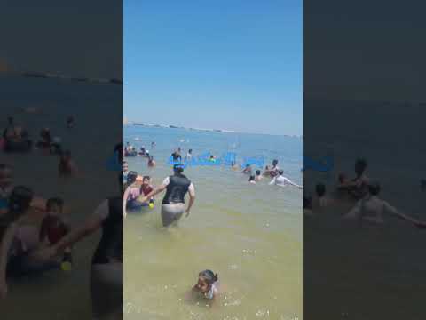 بحر الاسكندريه