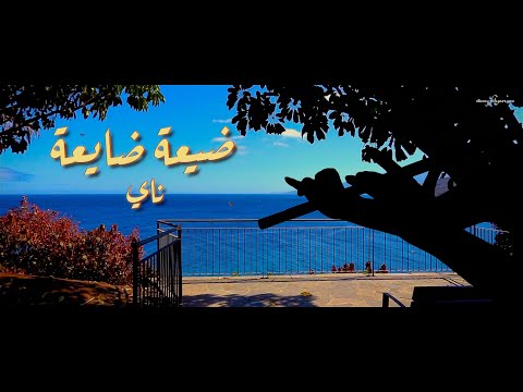 Nay Instrumental Music ضيعة ضايعة ناي محمد فتيان