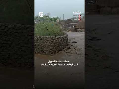 شاهد سيول جارفة تجتاح منطقة النجيبة في المخا شاهد سيول جارفة تجتاح منطقة النجيبة في المخا