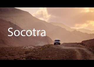  Majestic Socotra Island The Country Of Dragon Blood Trees