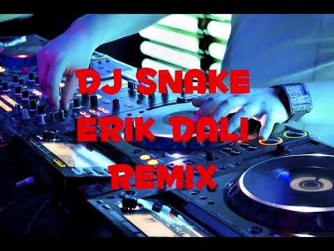 Dj Snake Erik Dalı Remix