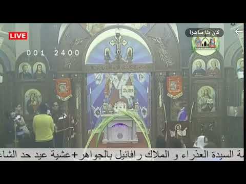 زفه عشيه أحد الشعانين ٢٠٢٥