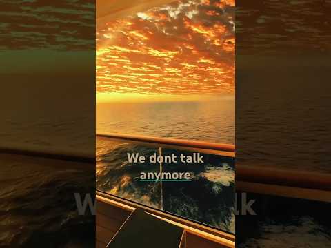 We Dont Talk Anymore Instrumental Version