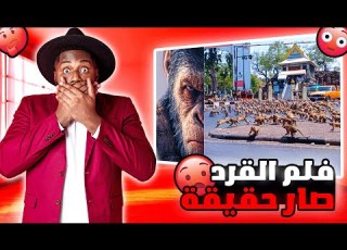  بدأت الحرب في الهند القرود خرجت عن السيطرة