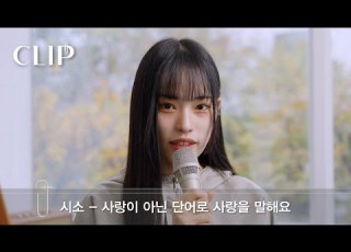 시소 Siso 사랑이 아닌 단어로 사랑을 말해요