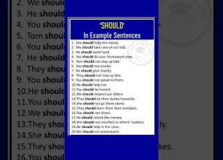 Should In Example Sentences Should English Education Viral Shorts Trending