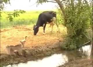 ليلة فرح ليلة عيد سعد الحرباوي