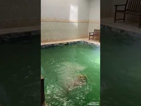 16 Août 2025ملكة جمال العالم فرح لبنان تعليم سباحة