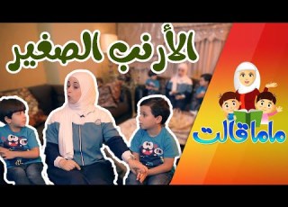 قصة الأرنب الصغير ماما قالت طيور بيبي Toyor Baby