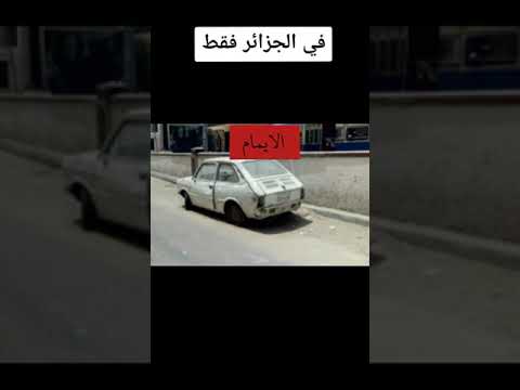 السيارات في الجزائر