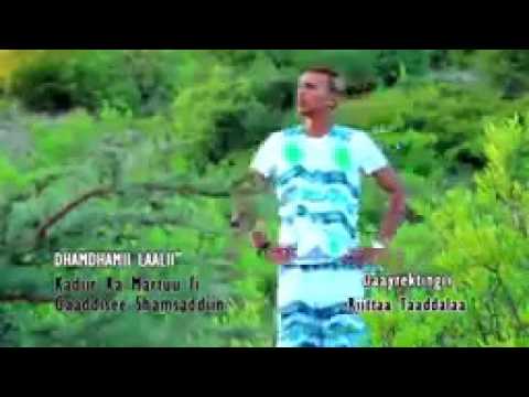 Kadiir Martuu Fi Gaddise Shamsudin