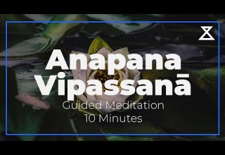 Quick 10 Minute Anapana Vipassanā Meditation For Busy Days Voice Only No Music