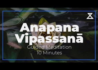 Quick 10 Minute Anapana Vipassanā Meditation For Busy Days Voice Only No Music