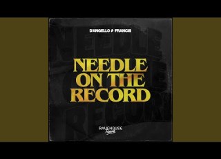  Needle On The Record