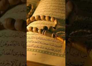  Prophet Lot In Quran