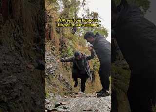 Totally Her Idea Btw