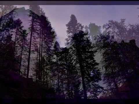 Aura Noctis Un Lugar