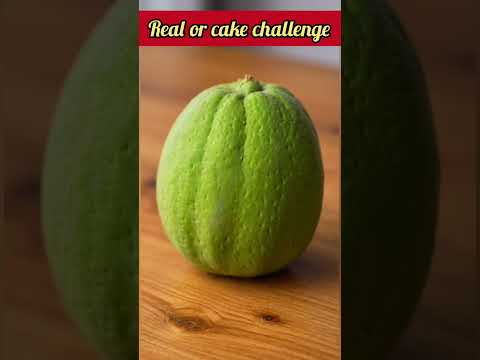 Real Or Cake Challenges Part 51 Damaah