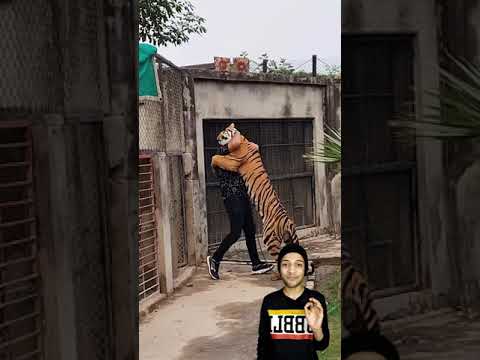 اقوى عضه لاشرس 5 حيوانات فى العالم والاخير حرفيا عضته مرعبه