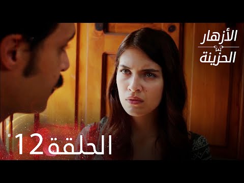 الأزهار الحزينة الحلقة 12 كاملة Kırgın Çiçekler