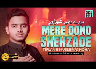  Tiflan E Muslim Noha 2021 Mere Dono Shehzade Ali Mohammad Sultanpuri Nohay 2021 New Noha 2021