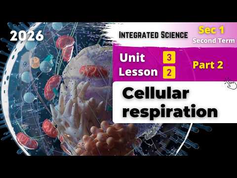 Sec 1 Cellular Respiration Obtaining Energy Unit 3 Lesson 2 Part Two Integrated Sciences