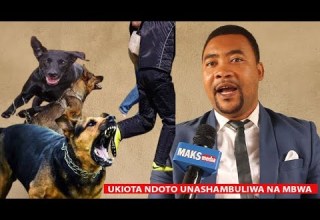 UKIOTA NDOTO UNAKIMBIZWA UNASHAMBULIWA NA MBWA MWEUSI MWEUPE MWEKUNDU HII NDO TAFSIRI YAKE