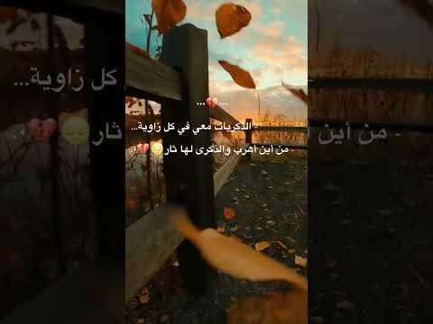 يا ساكنين بقلبي نشيد