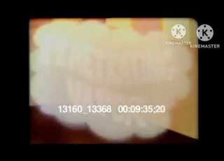  Raid Ant Roach Killer Commercial 1985 1987 With Cartoon Characters Announcer