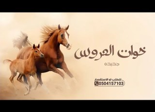  شيلة خوات العروس جديد 2026 صفو لخوات العروس وقولوا ماشاء الله شيلة خوات العروس حماسيه