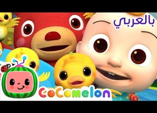 Cocomelon Arabic أغاني كوكو ميلون بالعربي اغاني اطفال ورسوم متحركة أغنية أين تختبئ البطات