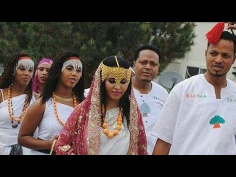 Aliyi Sabit Birillee New Video 2017