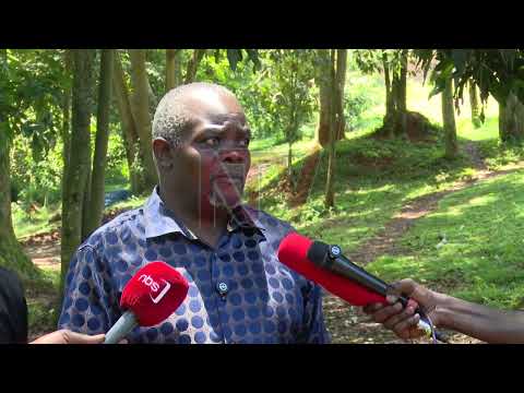 Wabaluseewo Enkalu Ku By Okuzimba Ekikomera Ekyetoolola Prayer Mt Seguku Wabaluseewo Enkalu Ku By Okuzimba Ekikomera Ekyetoolola Prayer Mt Seguku