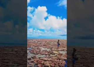 Nema Island