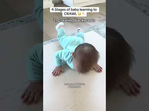 4 Stages Baby Learning To CRAWL Baby Babyshorts Babies Crawling Crawlingbaby